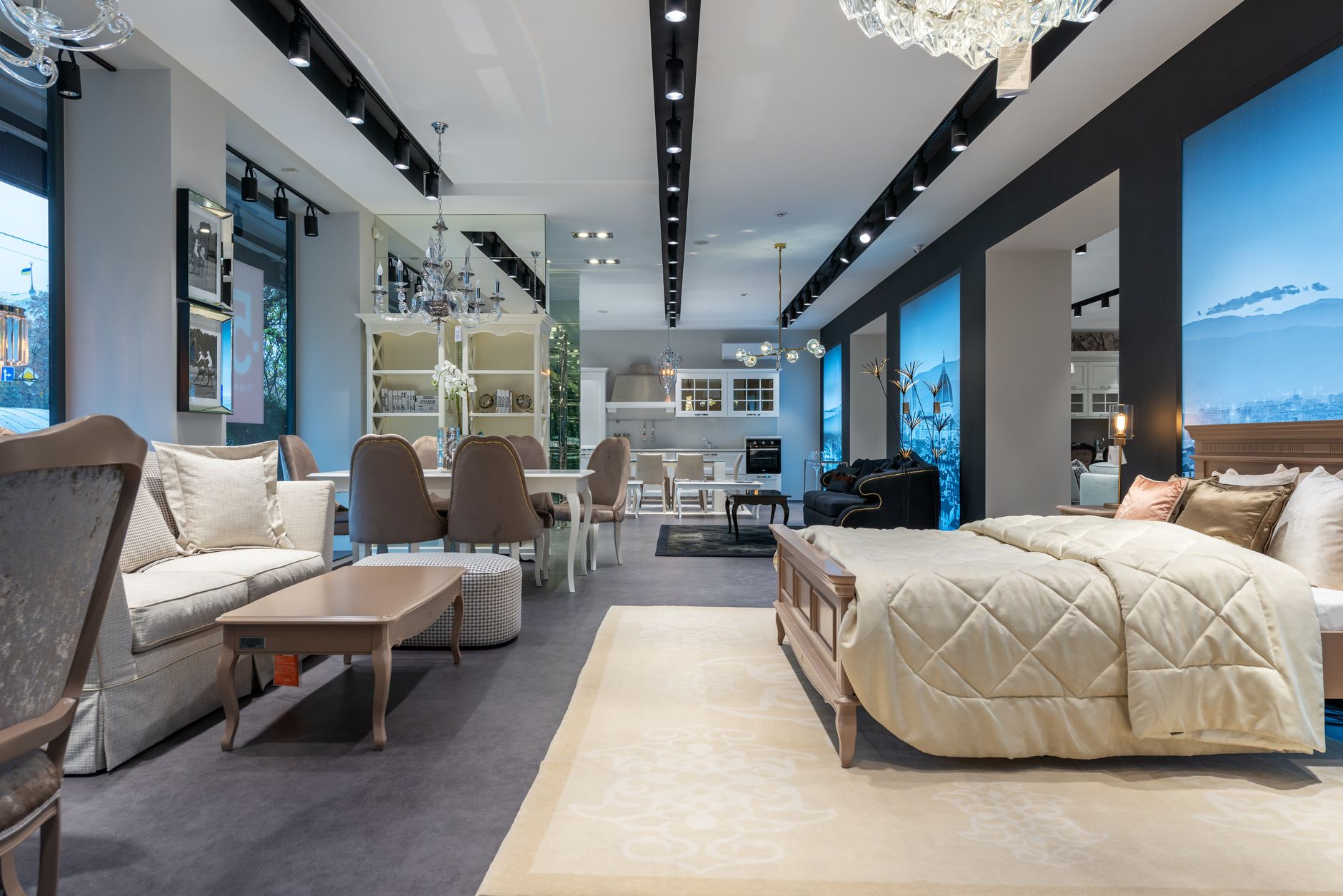 Sofas displayed in a furniture showroom