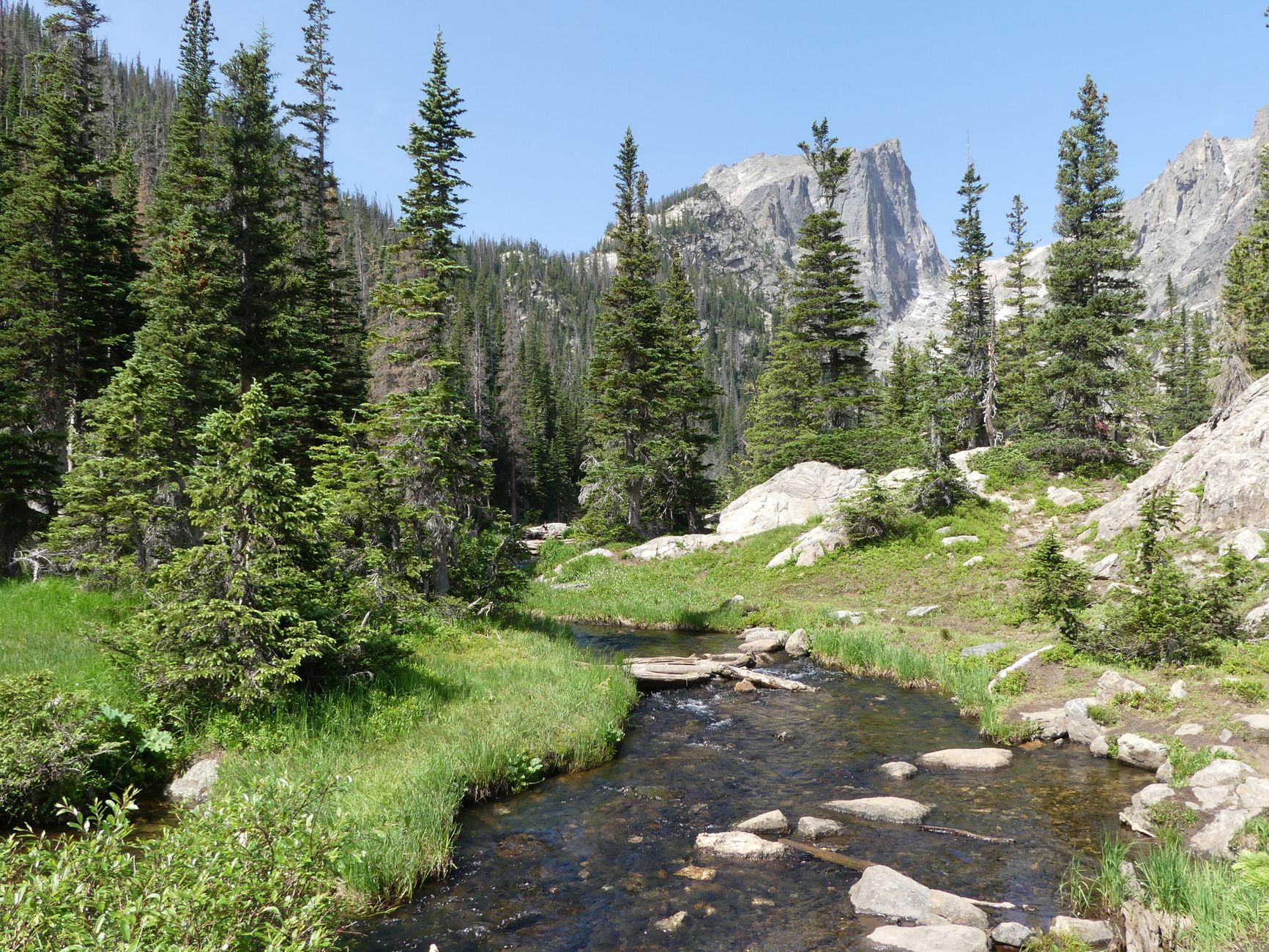 Mountain creek running through a Colorado forest