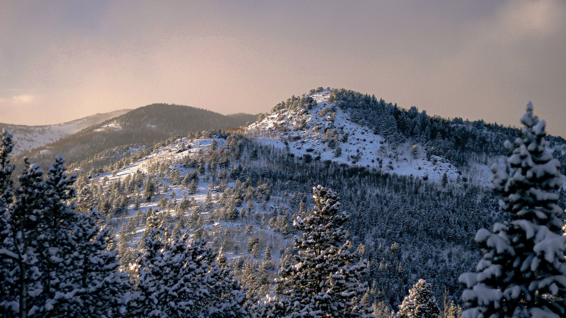 Snow-covered forest in the Colorado mountains