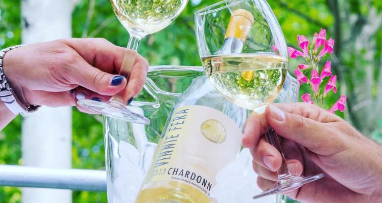 Best Local Wineries in Boulder