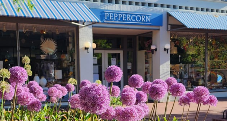 The Best Gift Shops in Boulder, Colorado: Your Ultimate Guide to Unique Finds