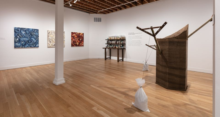 Art Galleries in Boulder, Colorado