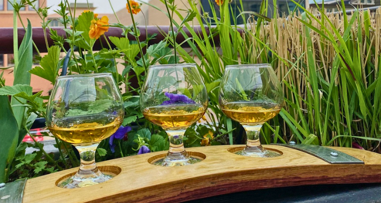 5 Best Patios and Pubs in Boulder: An Alfresco Experience to Remember