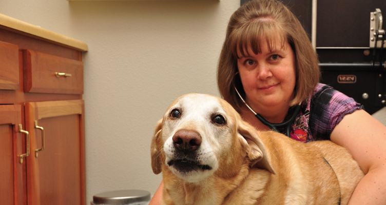 A Guide to the Best Pet Stores in Boulder