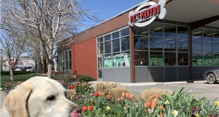 A Guide to the Best Pet Stores in Boulder