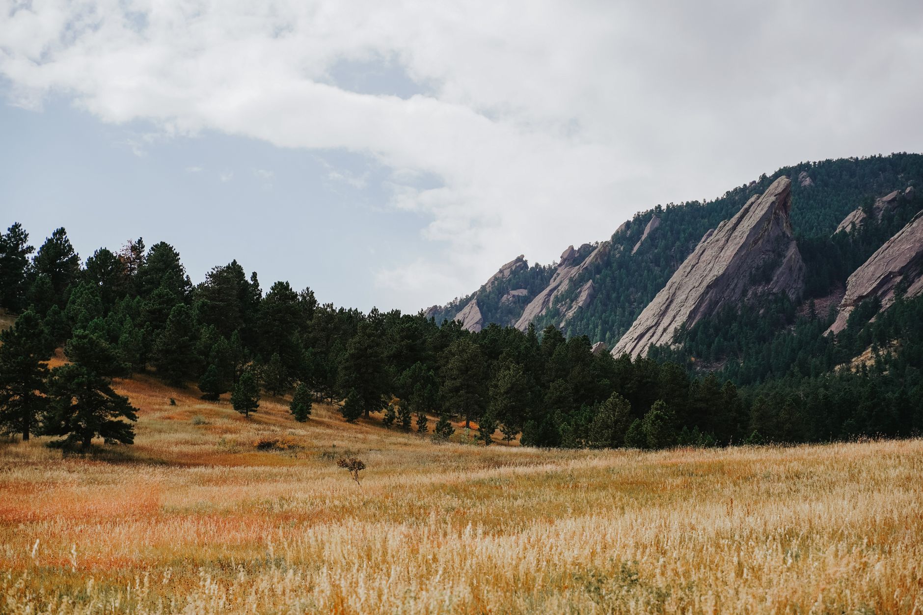 Open space meadow and foothills in Boulder, Colorado
