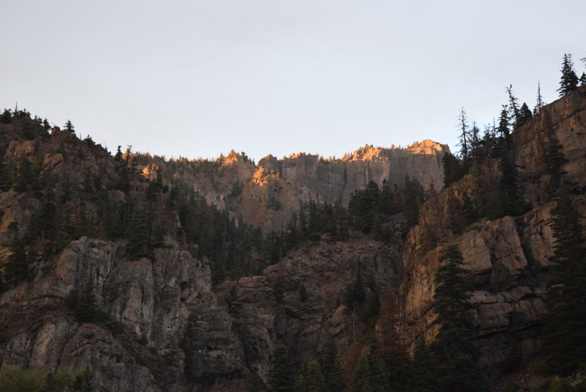 Morning light on cliffs and forest in the Colorado mountains