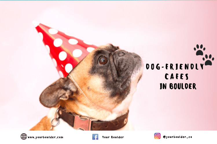 7 Must-Visit Dog-Friendly Cafes You in Boulder