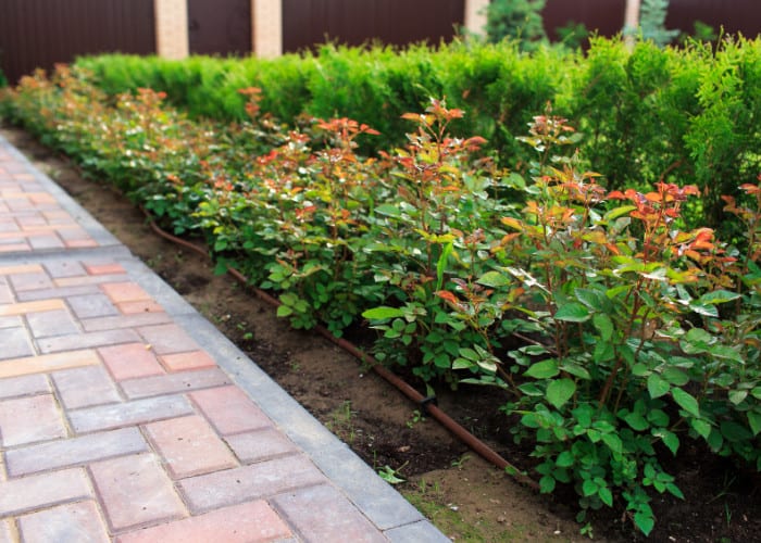 Matrix Gardens — Contractors in Boulder, Colorado