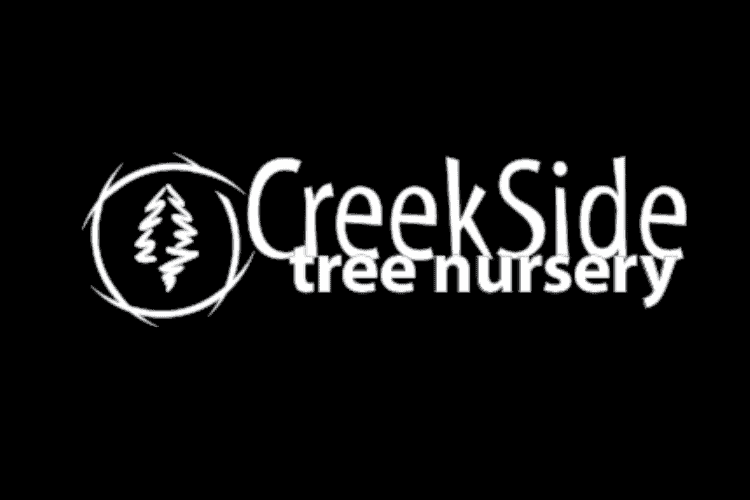 Creekside Tree Nursery — Contractors in Boulder, Colorado