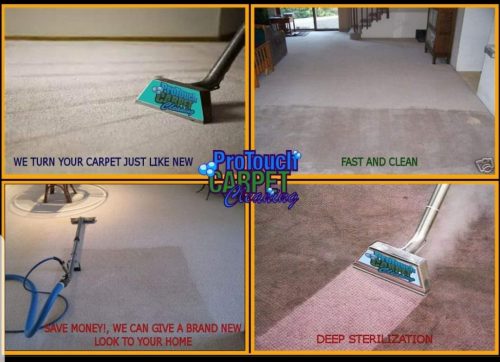ProTouch Professional LLC — Cleaning Services in Boulder, Colorado
