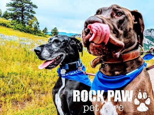 Rock Paw — Family & Home Services in Boulder, Colorado