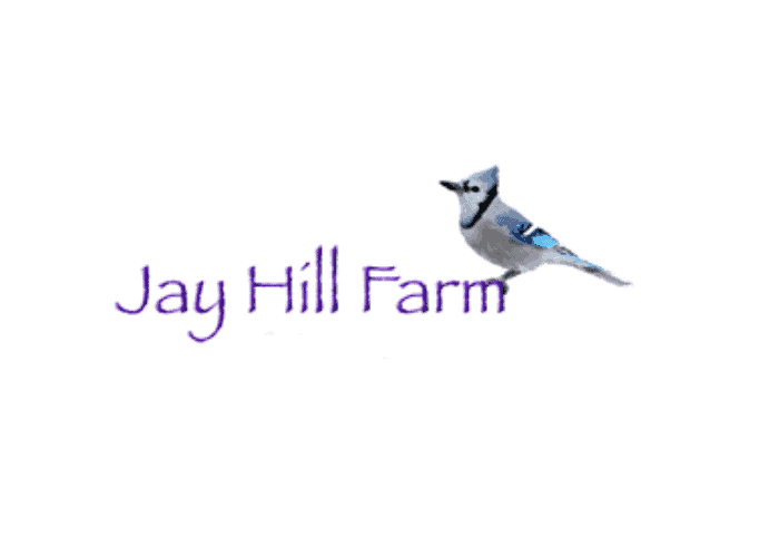 Jay Hill Farm — Farms