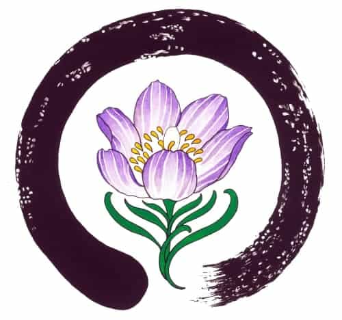 Eco Source Acupuncture & Herbs — Acupuncture