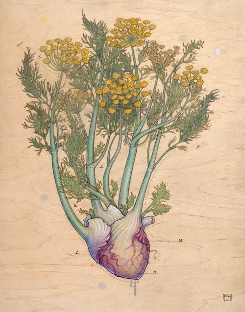Heartseed Health — Acupuncture