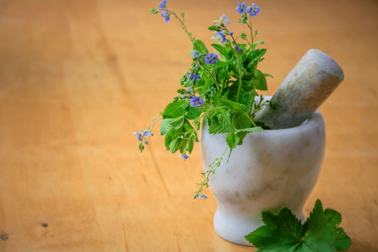 Boulder Naturopathic Clinic — Acupuncture