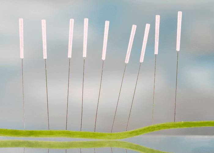 Roots & Branches Acupuncture, Nutrition, Herbal Medicine, Shiatsu & Tui- na — Acupuncture