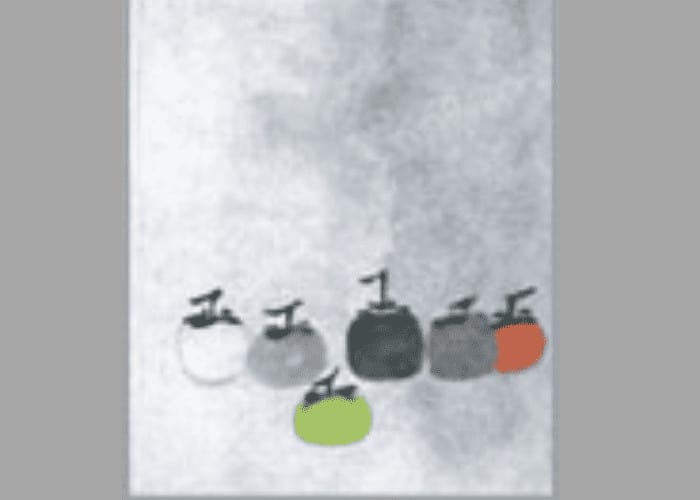 Six Persimmons — Acupuncture