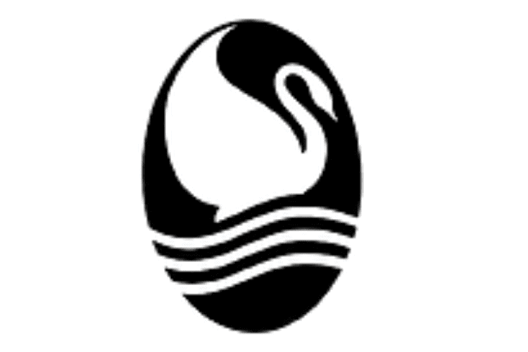 Swan Lake Chiropractic — Chiropractic