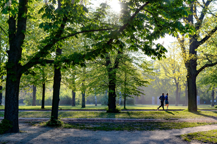 A Guide to the Best Parks in Boulder: Nature Meets Adventure