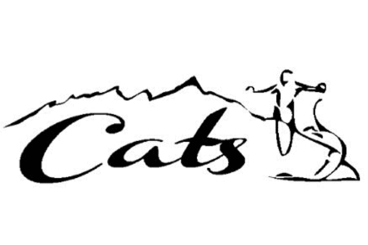 Cats Gym — Gyms and Workout Centers