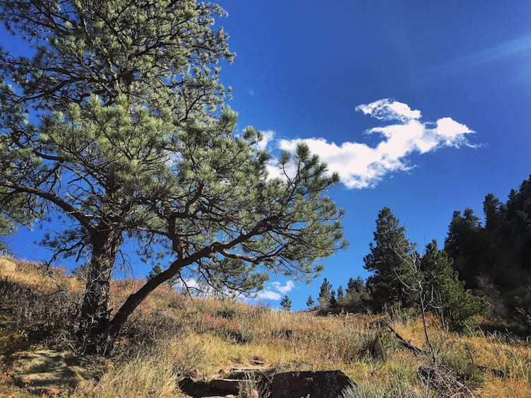 viewpoint trail boulder hike