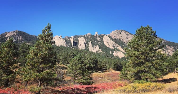 boulder shanahan big bluestem 1