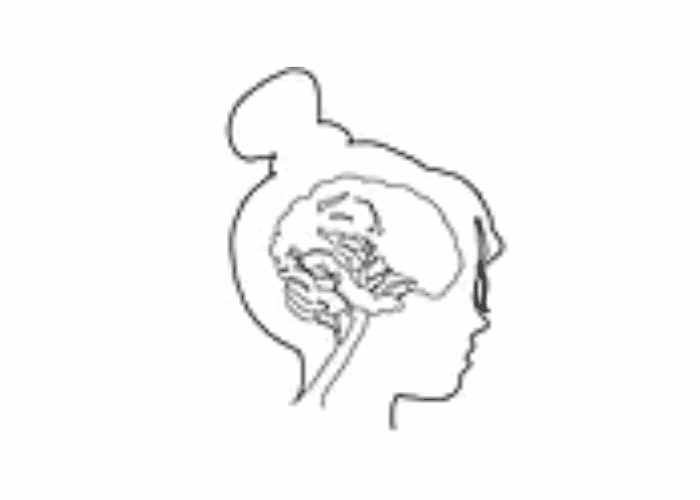 Growing Minds Learning Academy — Child Care Center