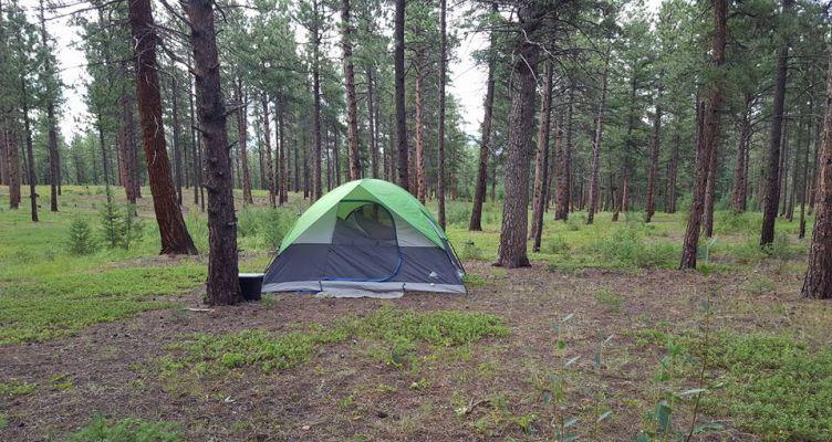 Cheap Retreat: Free Camping Around Boulder
