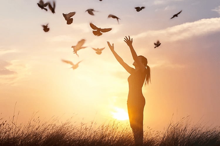 La Luna Center — Addiction Treatment