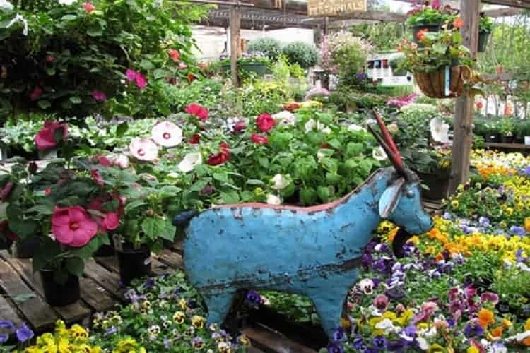 Sturtz and Copeland — Florists