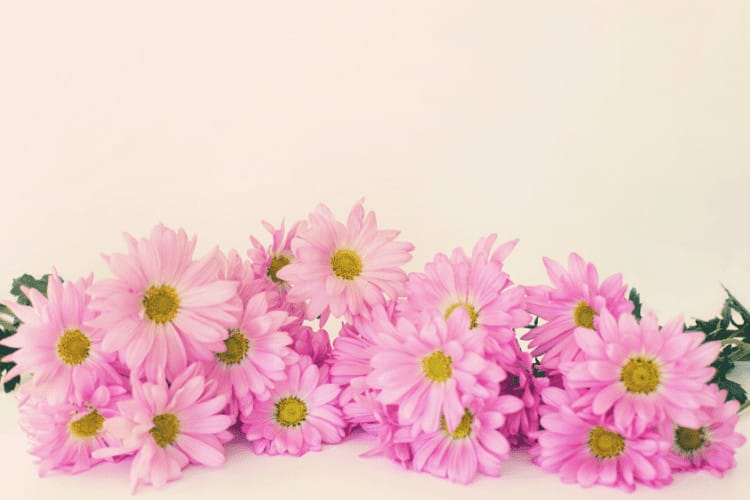 Fiori Flowers — Florists