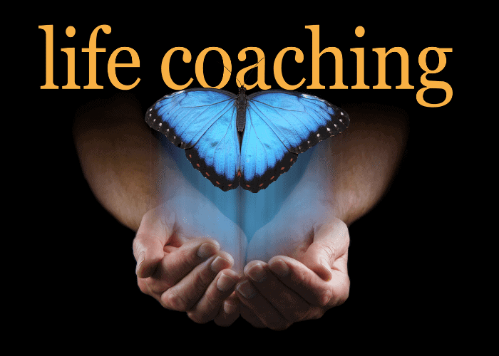 Tamra Sattler, PhD - Psychotherapy & Life Coaching — Life Coaches