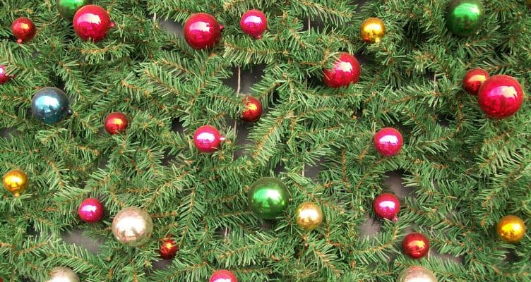 What to Do in Boulder on Christmas (Besides Go Out to Eat)