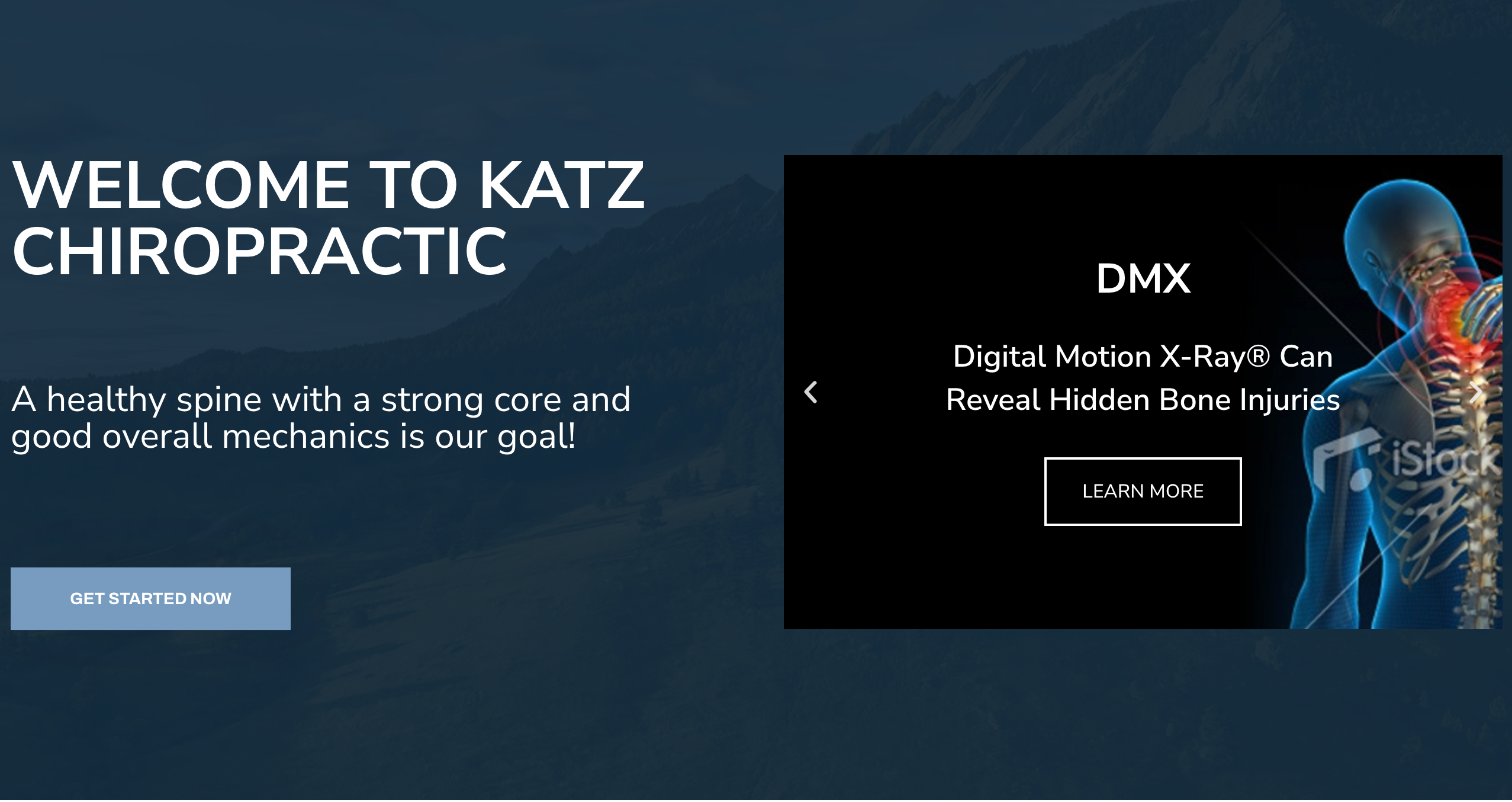 Katz Chiropractic — Chiropractic
