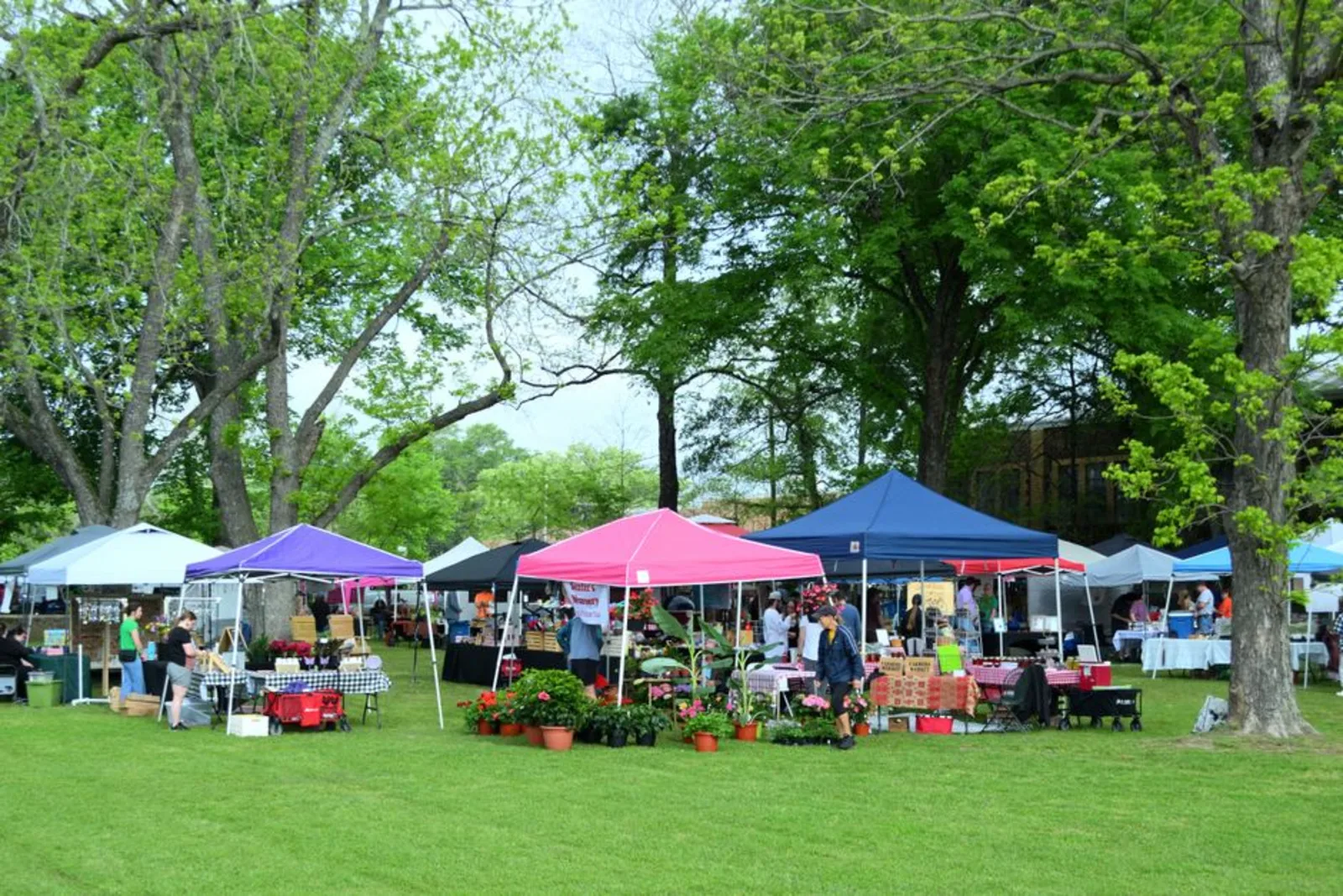 The Boulder Farmers Market: Hours, Location, and What to Buy