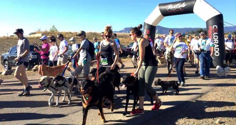 Doggie Dash 2016: For the Love of Pups – Register Now!