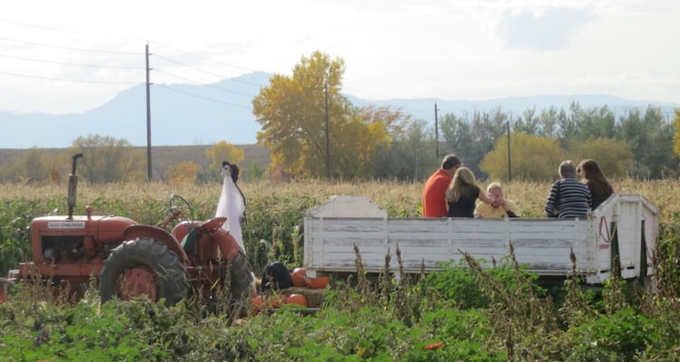 munsons farms boulder