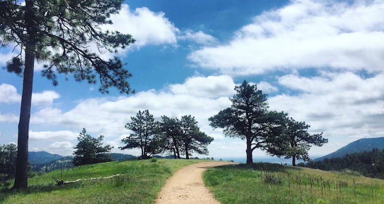 Betasso Preserve 1