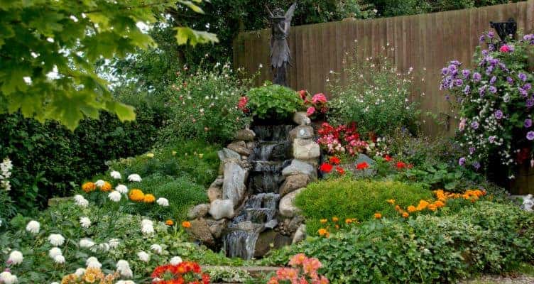 Start Sprouting: Nurseries and Garden Supplies in Boulder