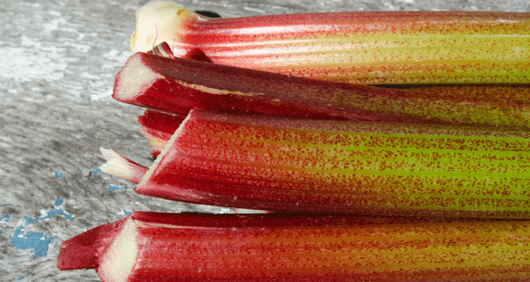 rhubarb boulder