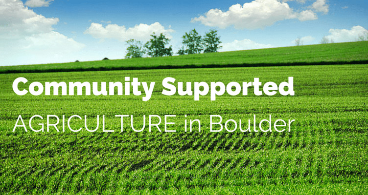 csa boulder