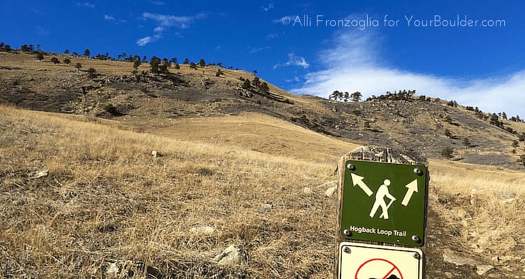 Boulder Hike of the Month: Hogback Ridge