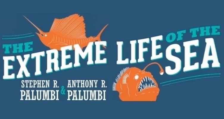extreme life of the sea boulder