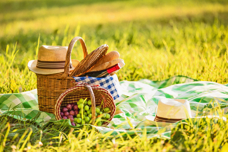 The Best Picnic Spots in Boulder: Unwind and Dine Amidst Nature’s Beauty