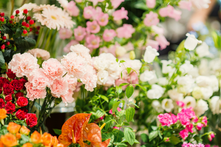 Blooming Beauties: Discover the Best Flower Shops in Boulder