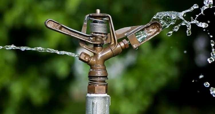 The Ins and Outs of Boulder County Watering Restrictions