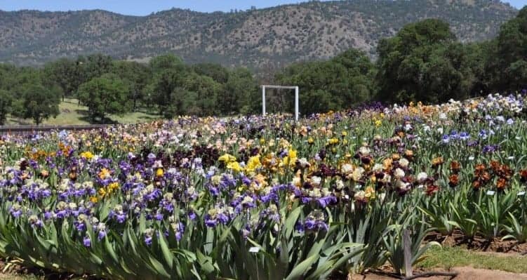 Boulder Nurseries and Gardening Supplies: Get Planting!