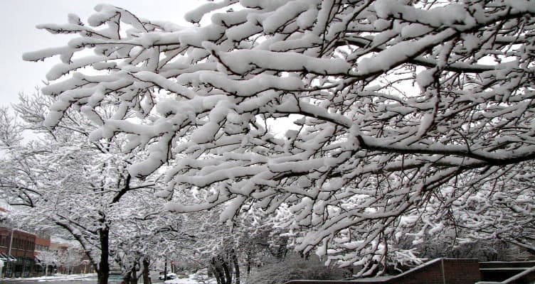 boulder family winter