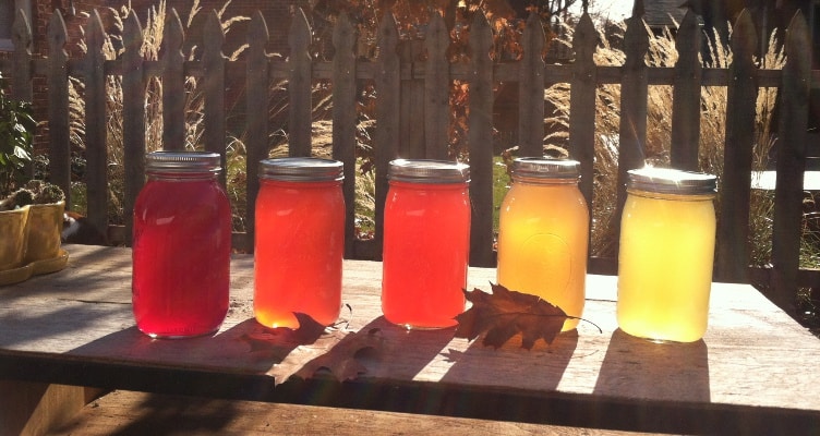 Boulder Happy Leaf Kombucha